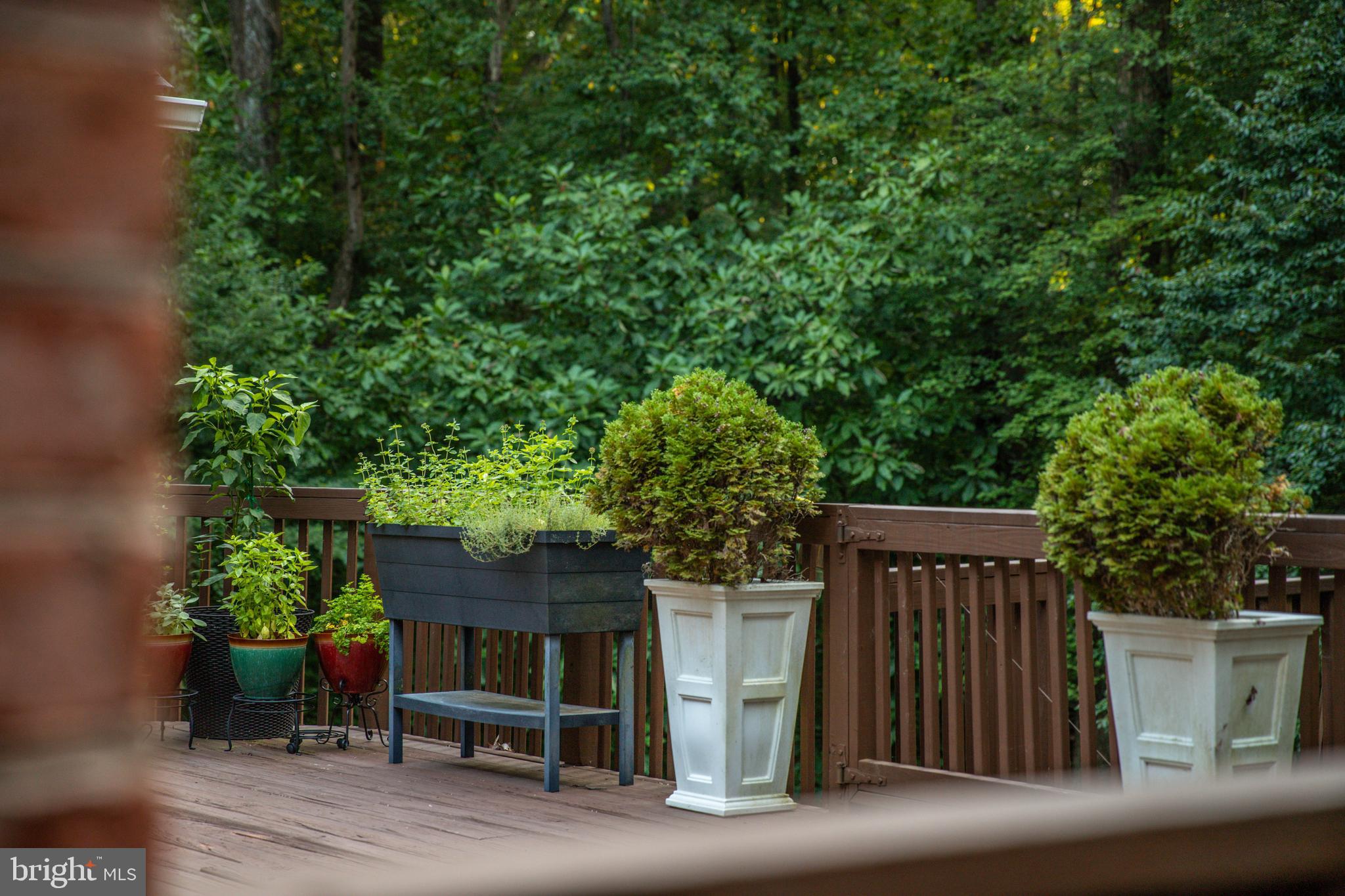14418 Katie Road Phoenix, MD 21131 - Photo 14 of 29 a view of backyard with deck and seating space