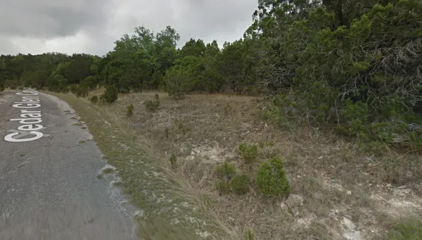 a view of a dry yard with trees in the background