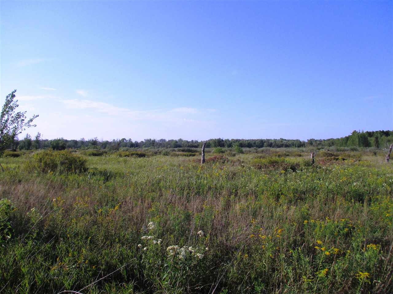 Xx North Jeffs Road Merritt, MI 49667 - Photo 13 of 47 Gallery Image 13