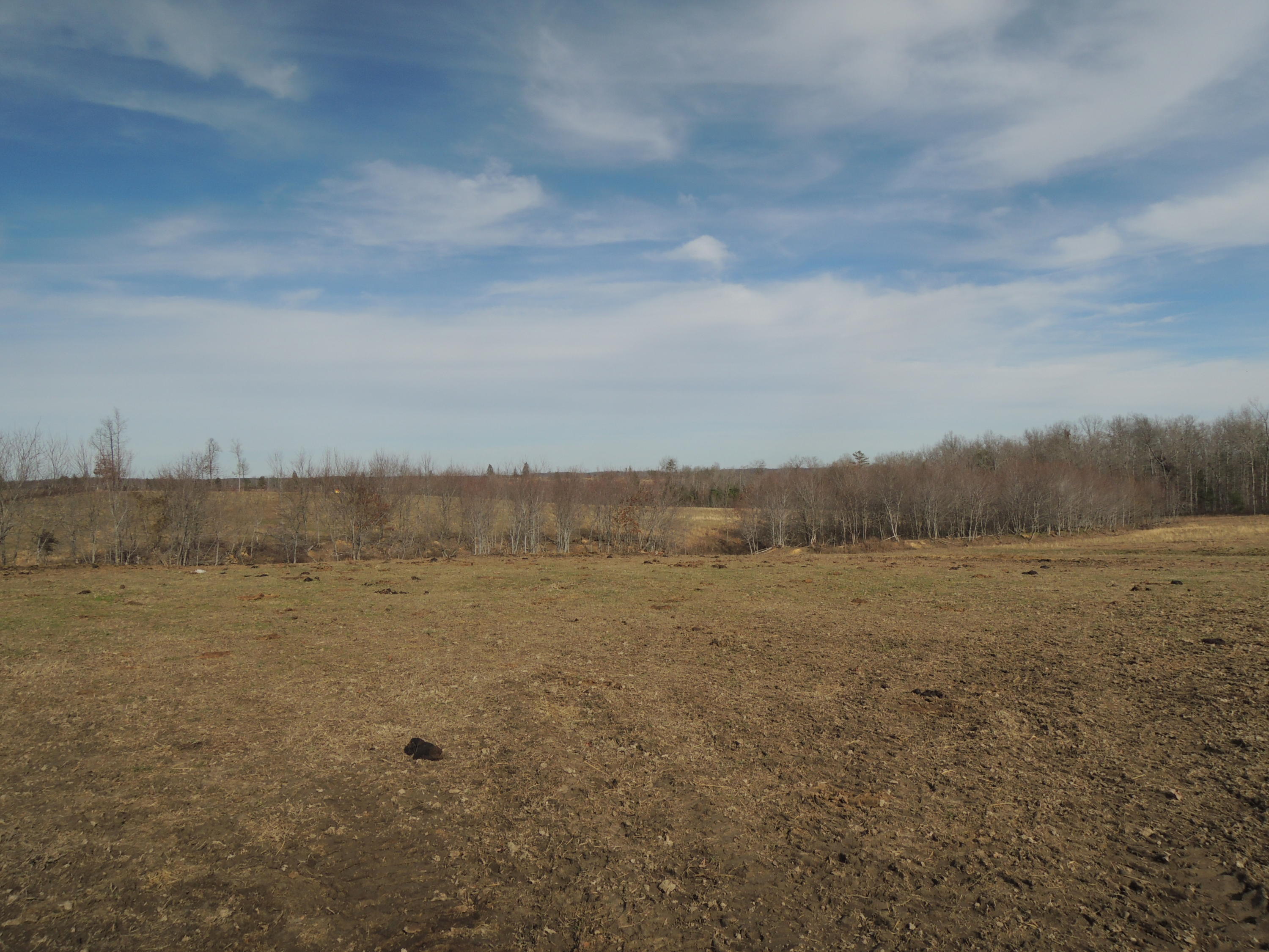 Baseline Road Jamestown, TN 38556 - Photo 1 of 17 DSCN5900