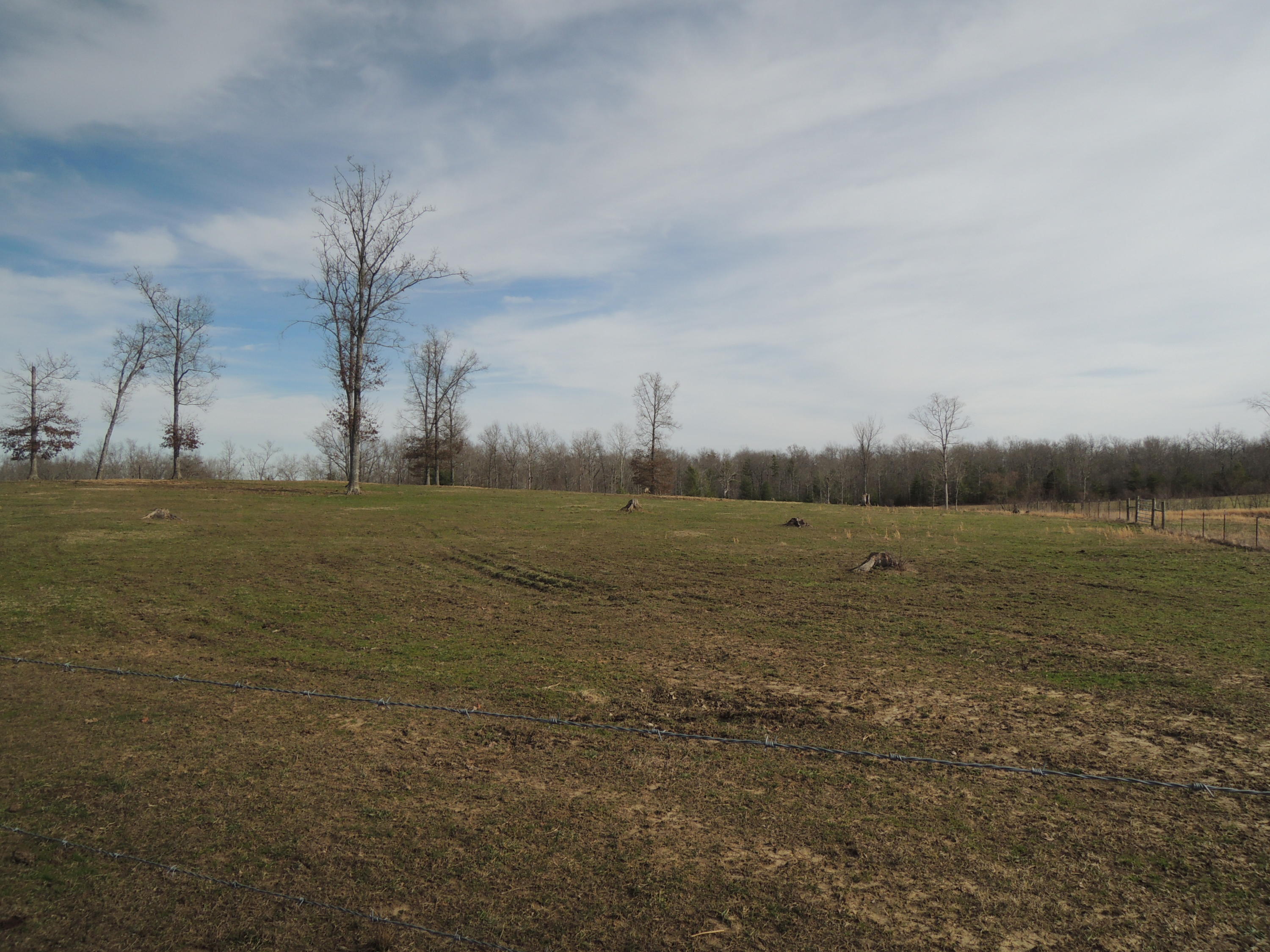Baseline Road Jamestown, TN 38556 - Photo 9 of 17 DSCN5893
