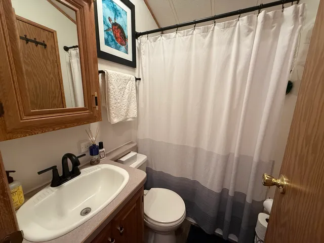 a bathroom with a sink and a toilet