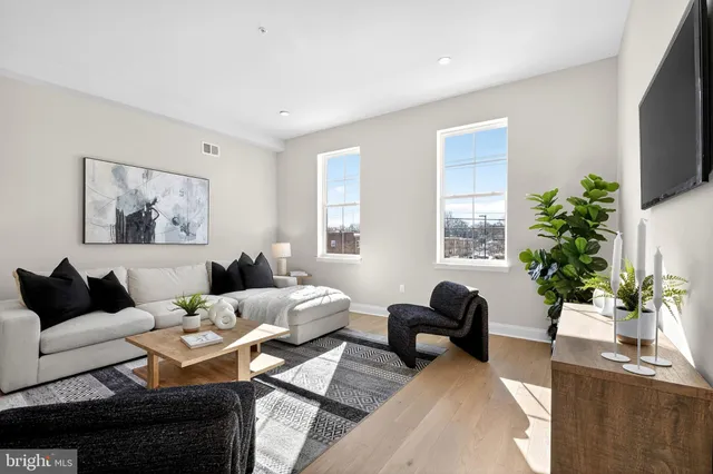 a living room with furniture potted plant and a window