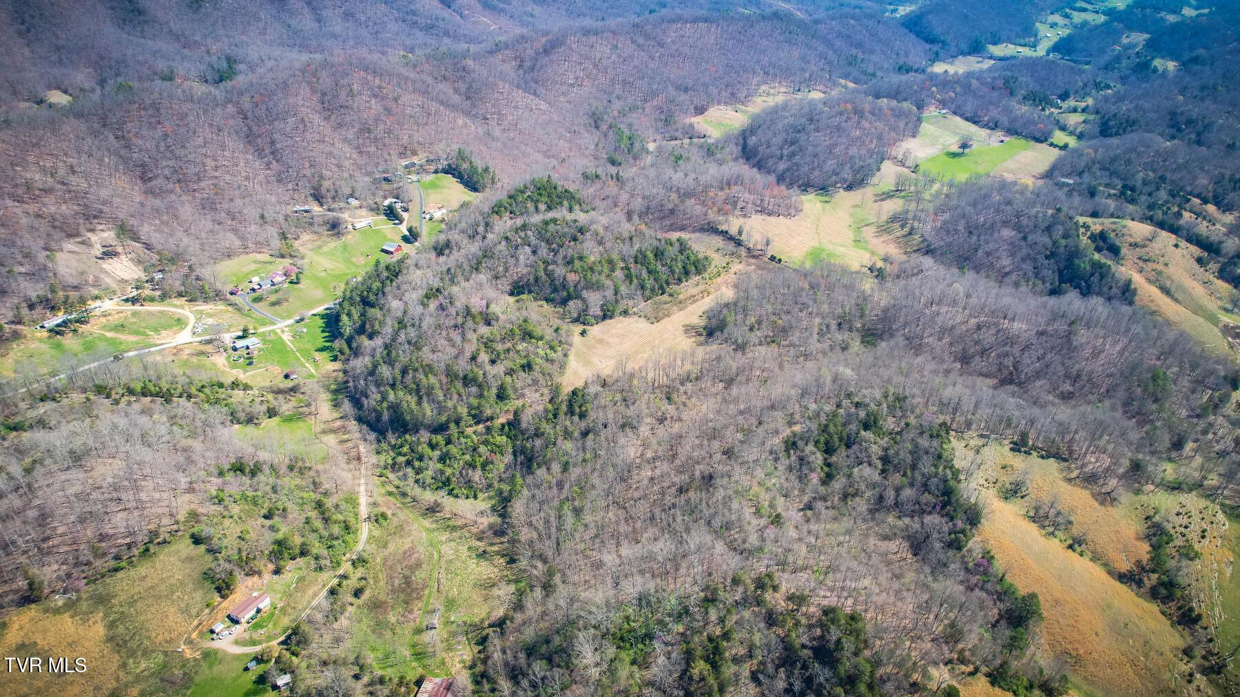 Tbd Ivy Valley Road Gate City, VA 24251 - Photo 7 of 12 20230331160034667212000000-o