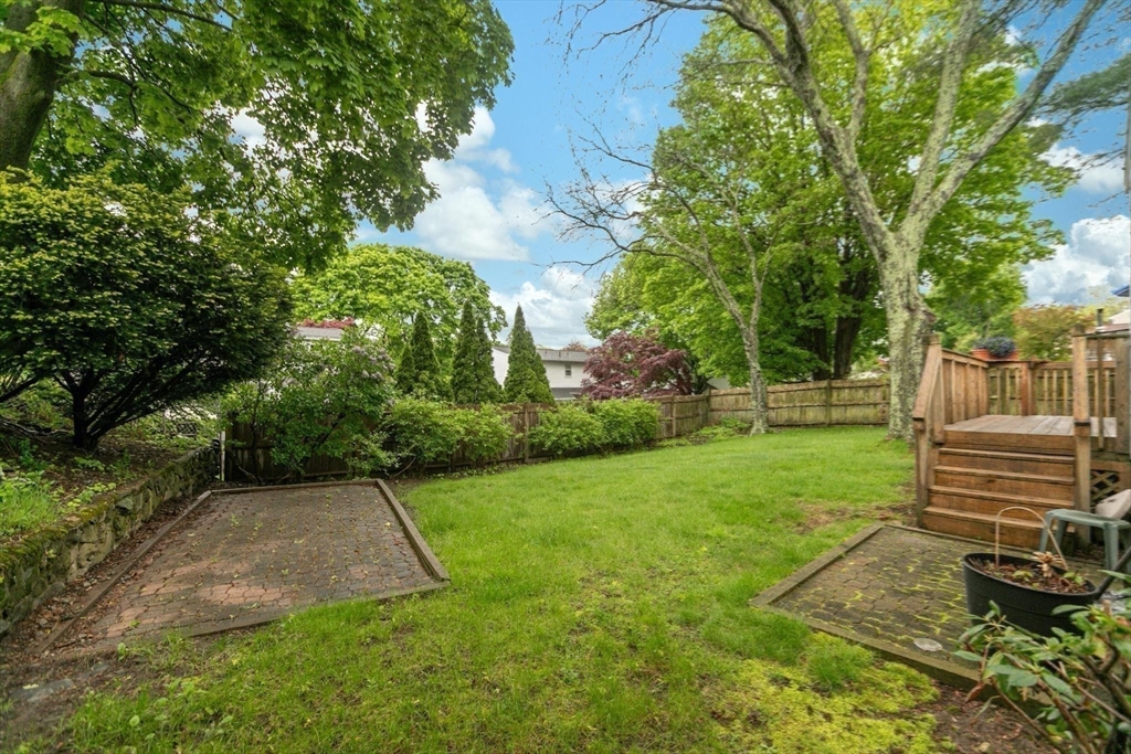 8 Dodge Street Arlington, MA 02474 - Photo 32 of 36 a view of a backyard with large trees