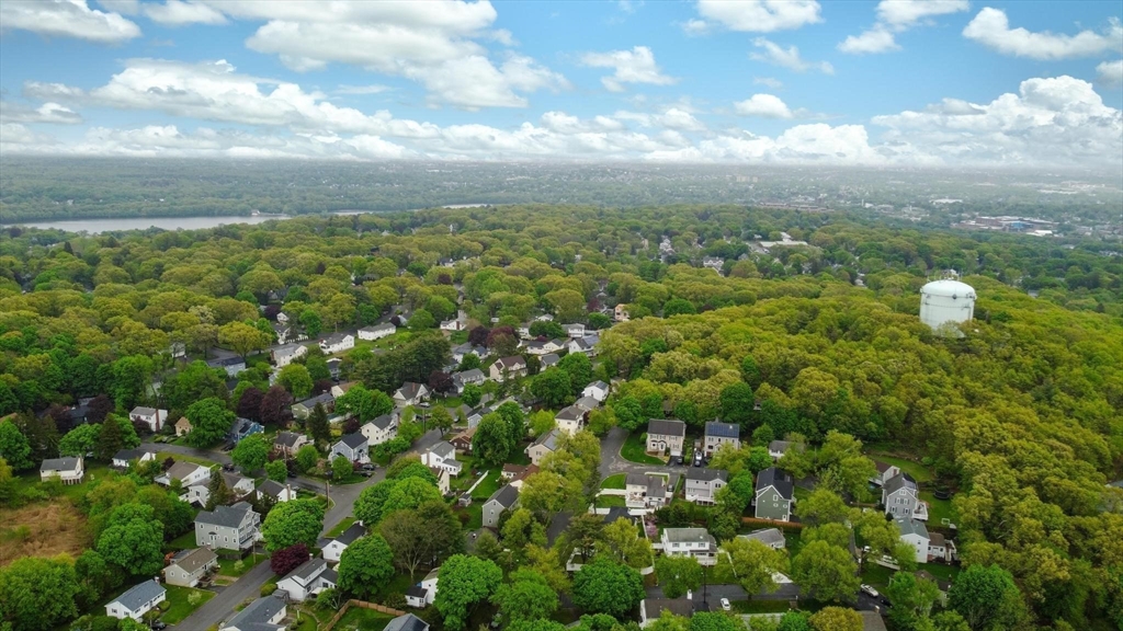 8 Dodge Street Arlington, MA 02474 - Photo 36 of 36 a view of a bunch of trees