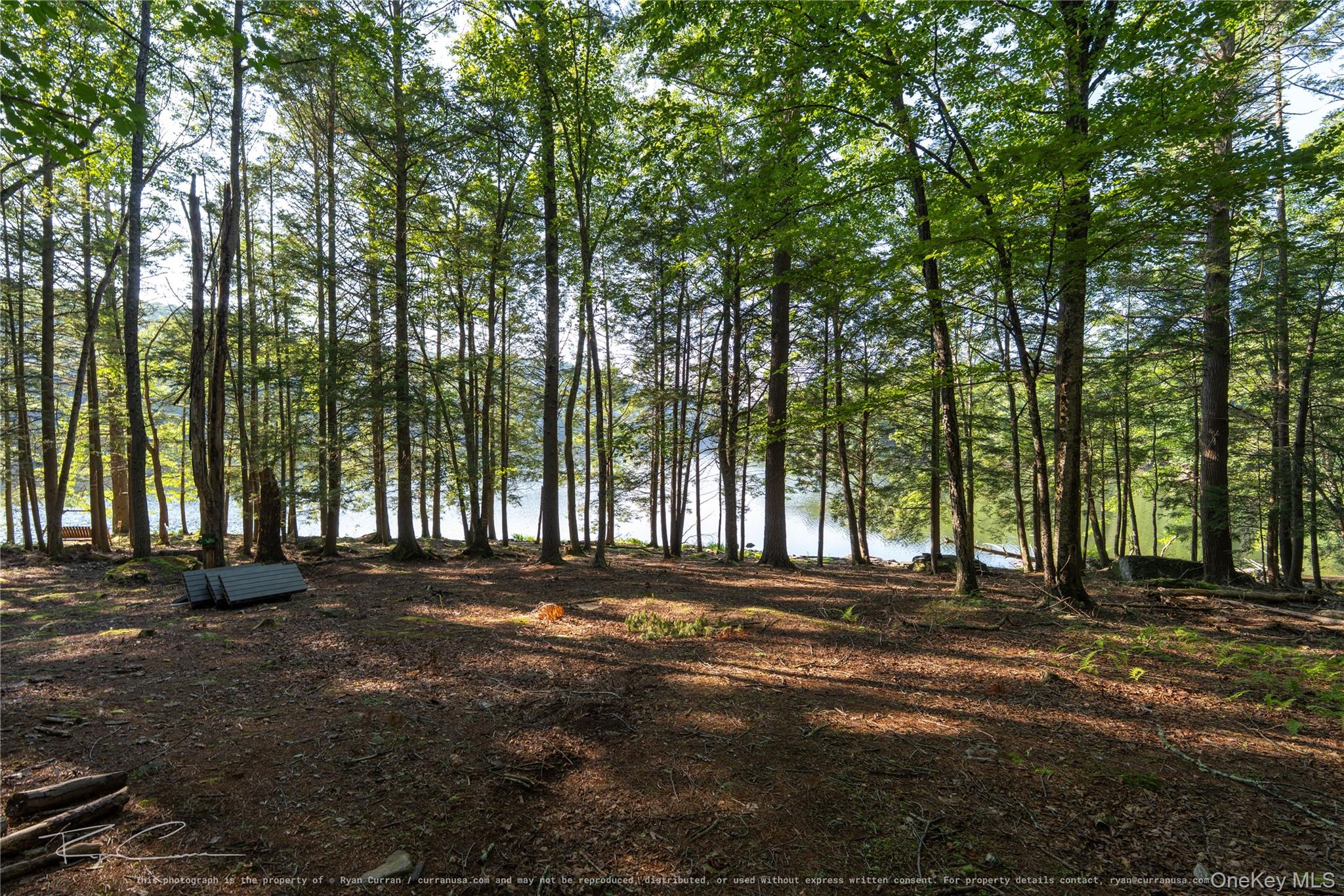 Old Plank Road Forestburgh, NY 12777 - Photo 27 of 38 Gallery Image 27