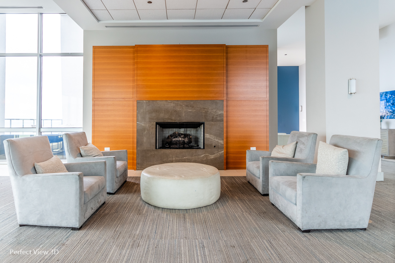 1629 South Prairie Avenue, Unit 2010 Chicago, IL 60616 - Photo 18 of 20 a living room with furniture and a fireplace