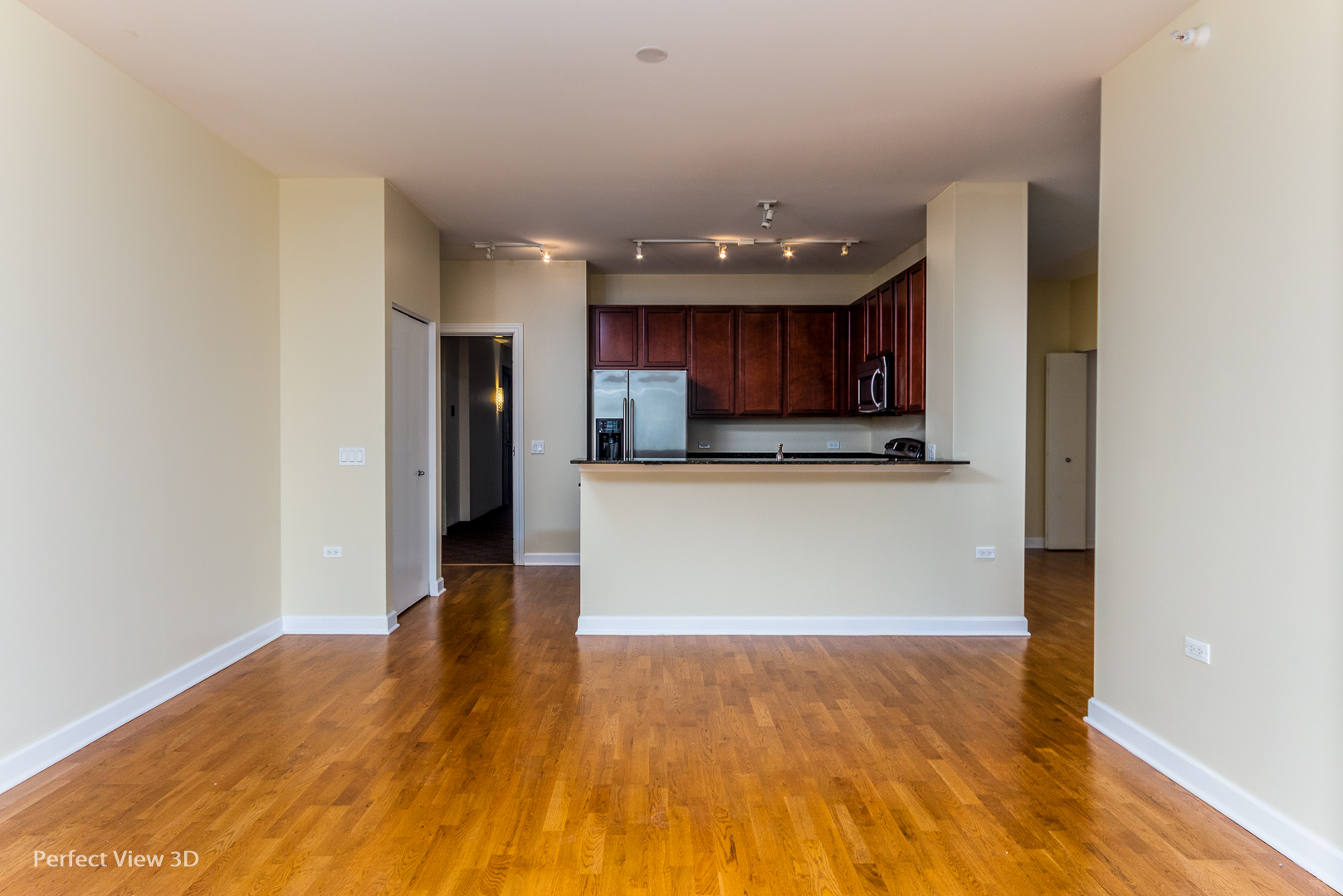1629 South Prairie Avenue, Unit 2010 Chicago, IL 60616 - Photo 9 of 20 a view of kitchen with wooden floor
