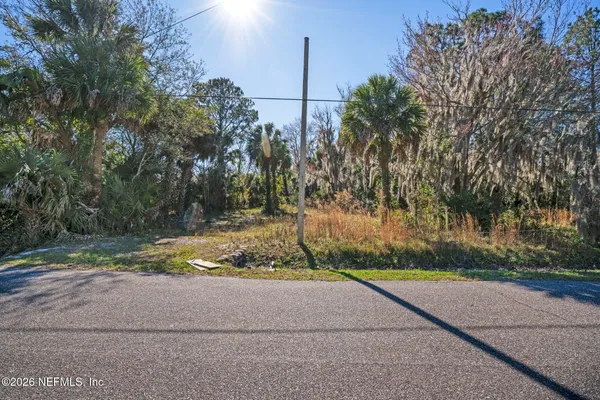 a view of a yard with large trees