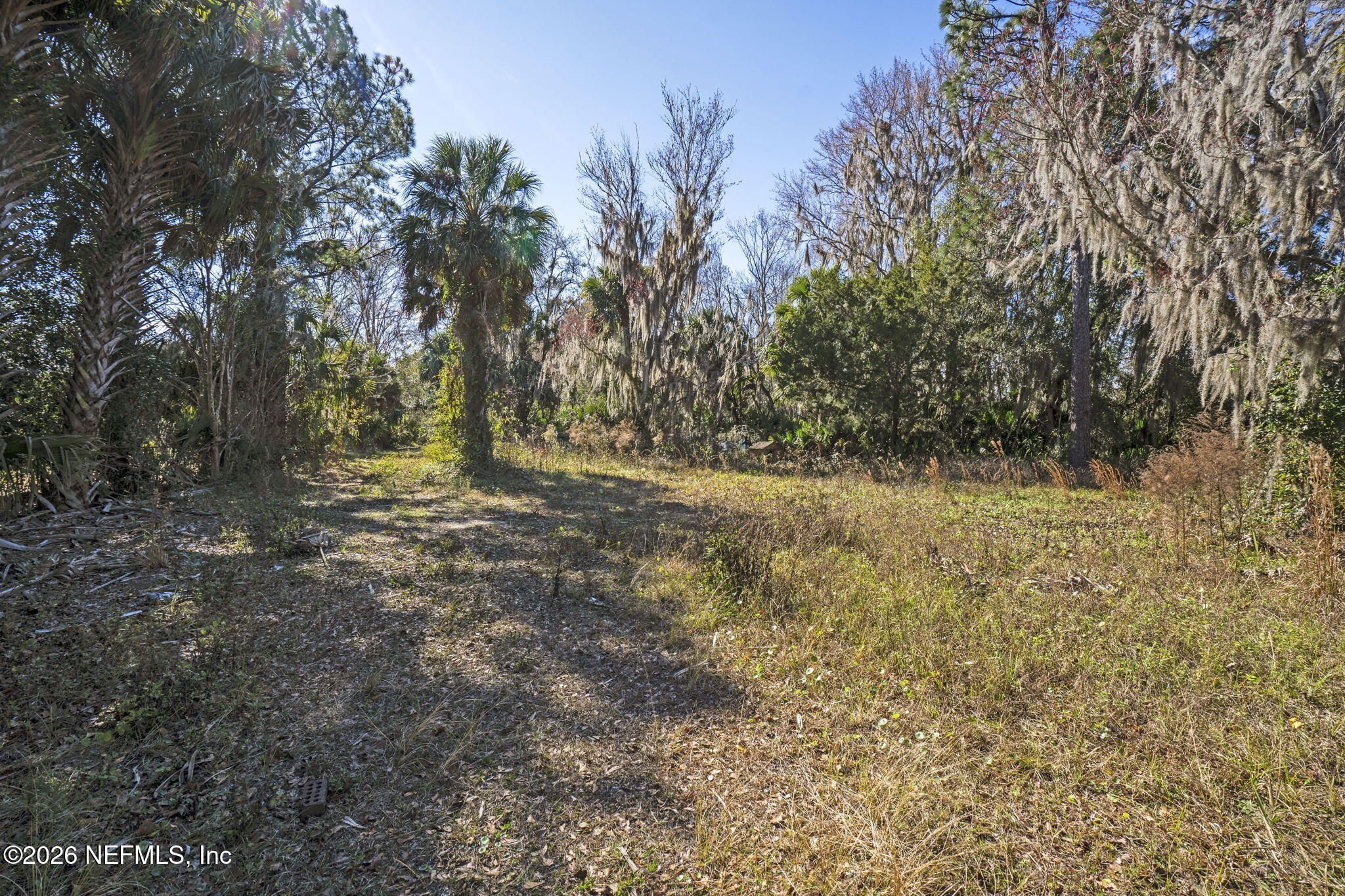 388 Bird Road Jacksonville, FL 32218 - Photo 5 of 9 a view of outdoor space and a yard