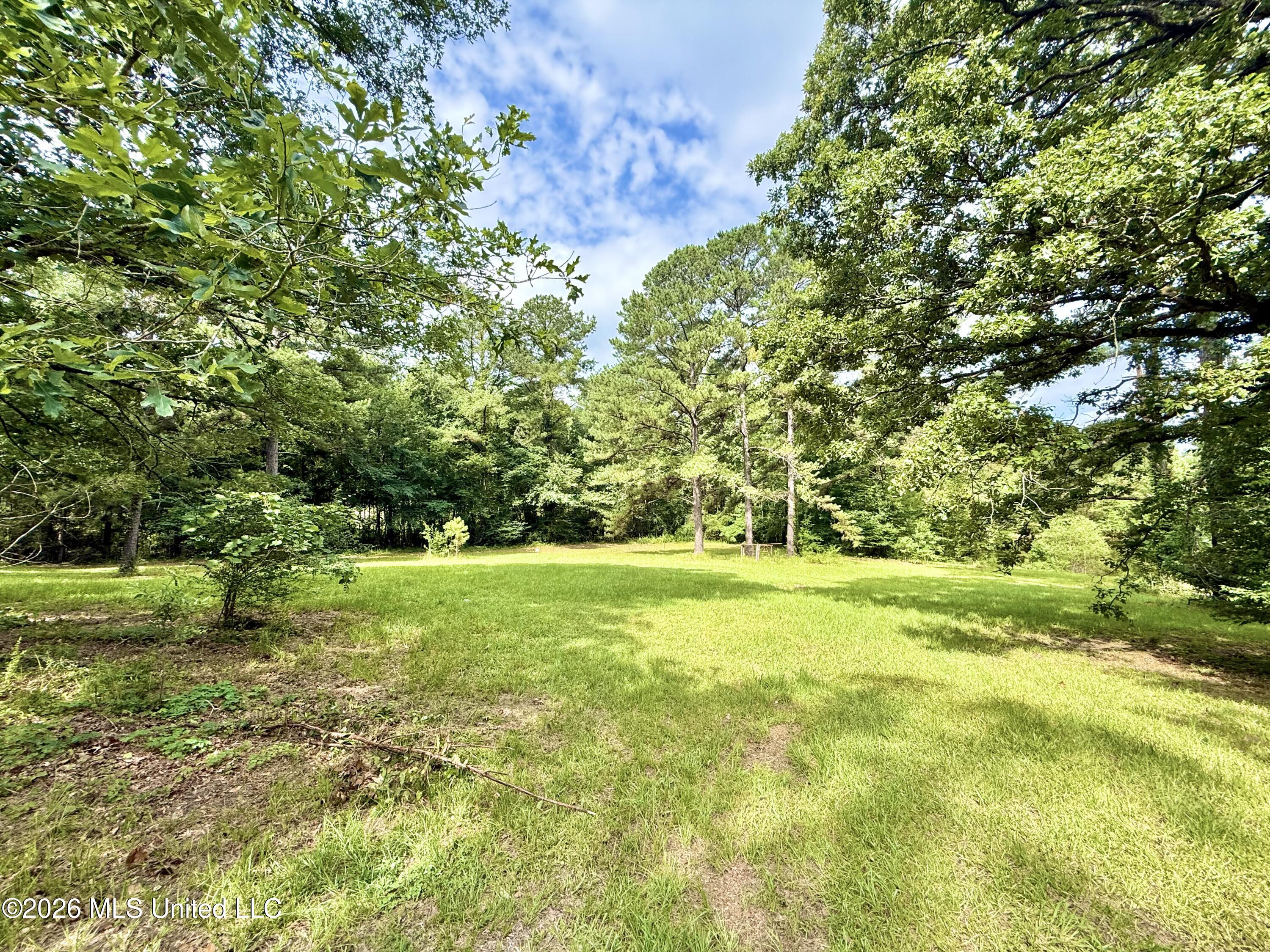 1019 Dry Grove Road Crystal Springs, MS 39059 - Photo 16 of 53 IMG_4386