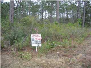 16 Santa Pine Street Santa Rosa Beach, FL 32459 - Photo 1 of 1 Gallery Image 1