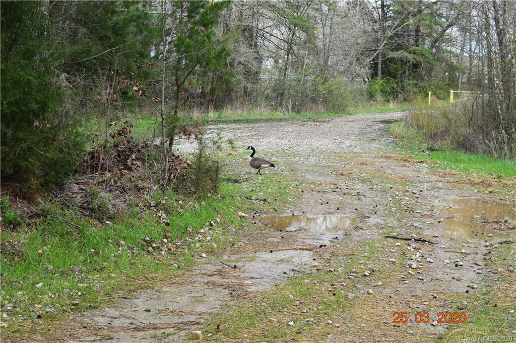 0 St Matthew Church Road Salisbury, NC 28146 - Photo 13 of 14 Gallery Image 13