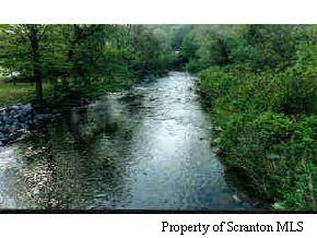 1 Barney Hollow Road Nicholson, PA 18446 - Photo 4 of 6 a black and white photo of a forest