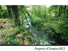 1 Barney Hollow Road Nicholson, PA 18446 - Photo 5 of 6 a black and white photo of a forest