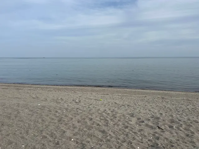 a view of beach and ocean