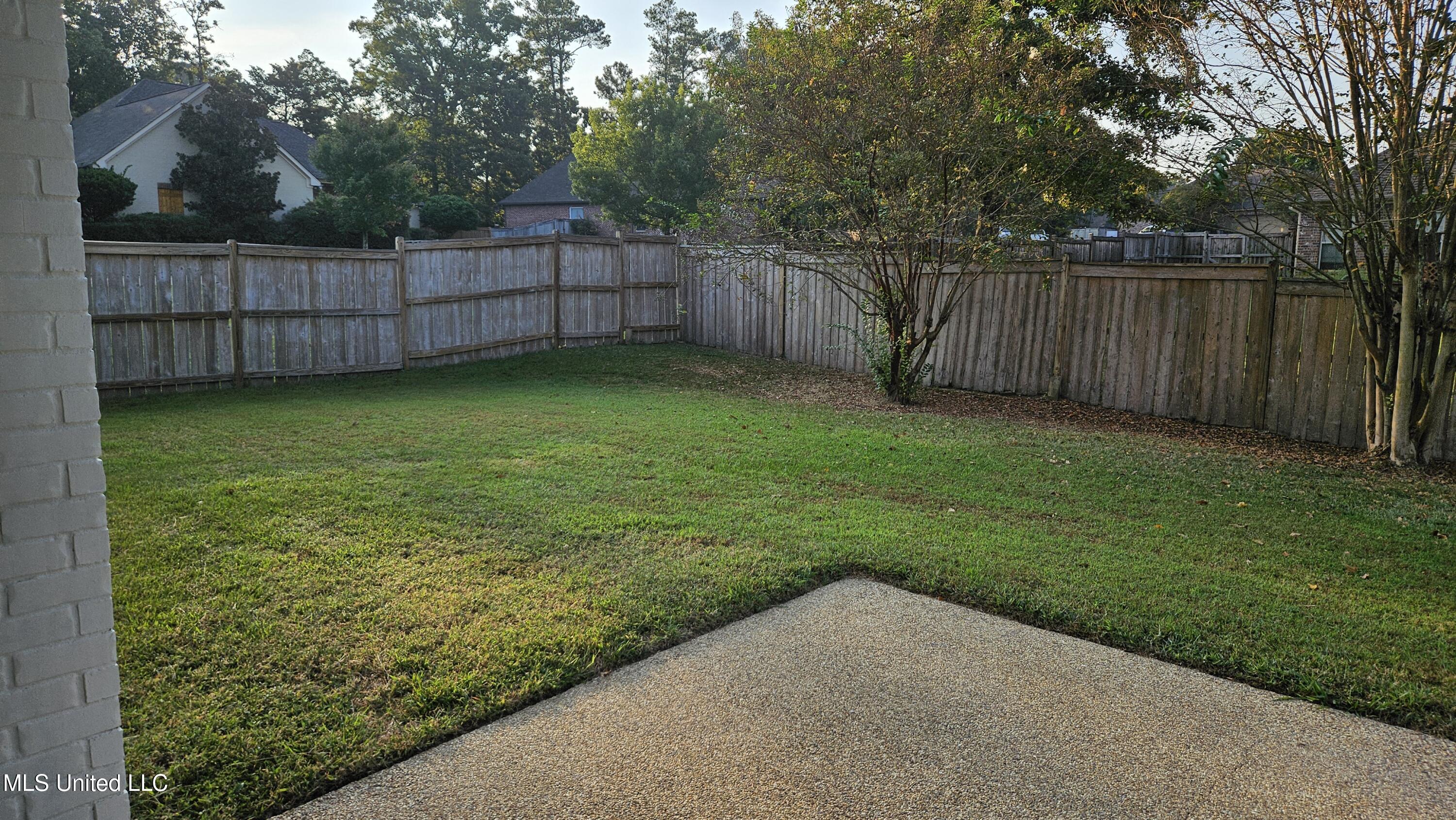 126 Turtle Ridge Drive Brandon, MS 39047 - Photo 15 of 95 Backyard