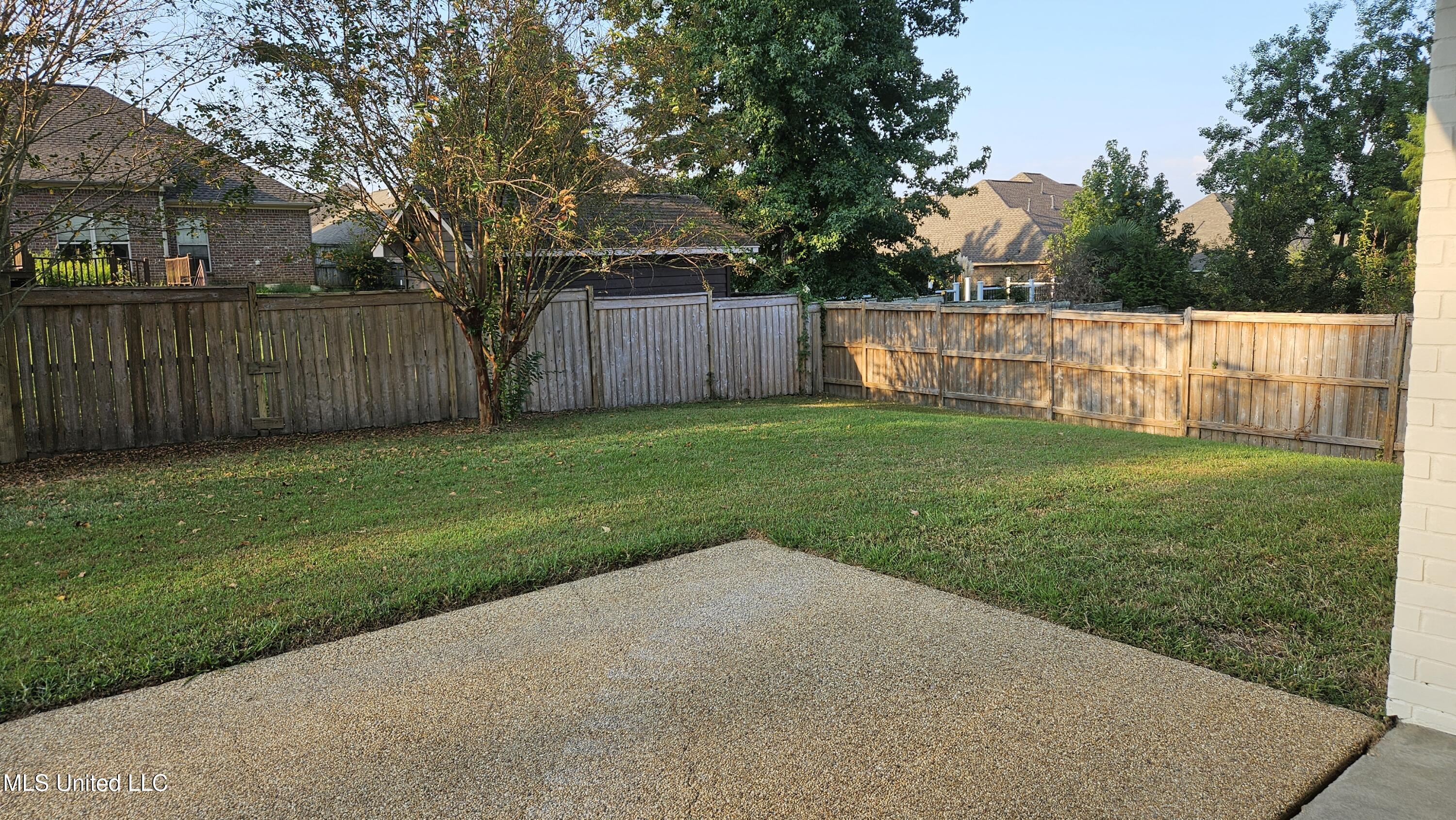 126 Turtle Ridge Drive Brandon, MS 39047 - Photo 16 of 95 Backyard