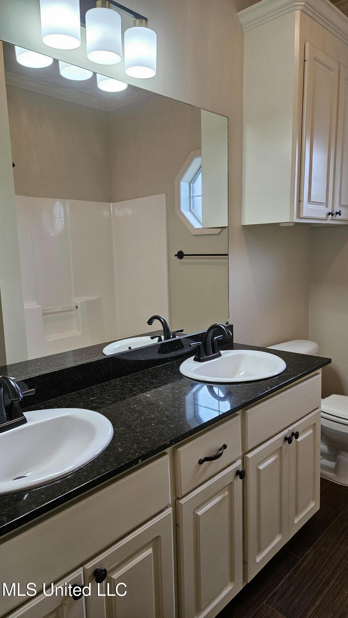 126 Turtle Ridge Drive Brandon, MS 39047 - Photo 50 of 95 Hall Bathroom