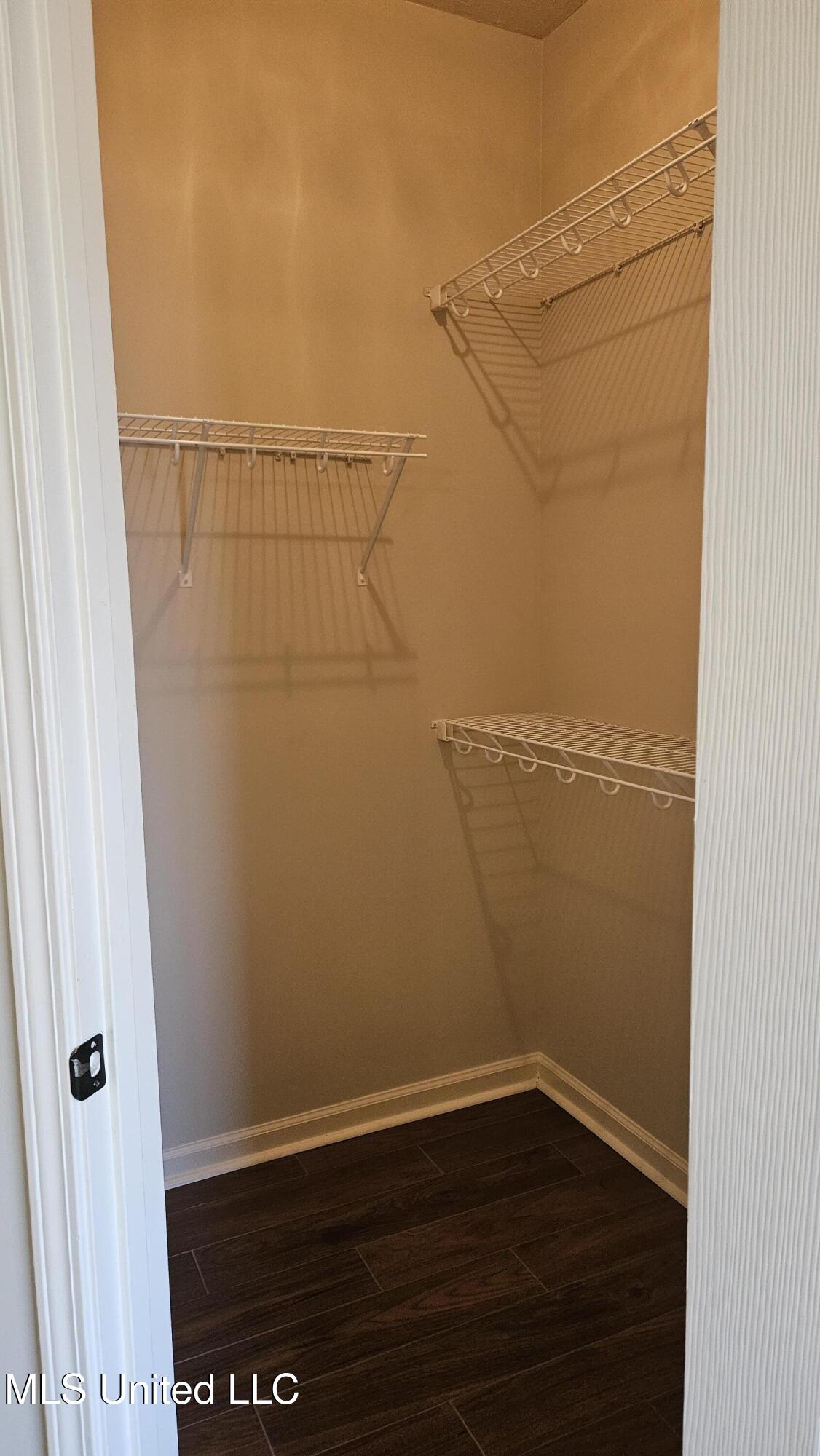 126 Turtle Ridge Drive Brandon, MS 39047 - Photo 79 of 95 Master Bath Closet