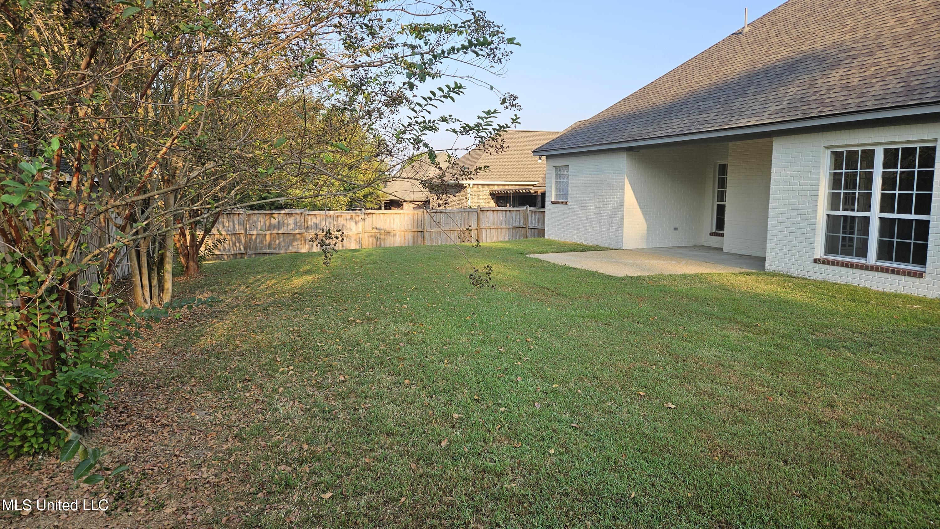 126 Turtle Ridge Drive Brandon, MS 39047 - Photo 8 of 95 Backyard