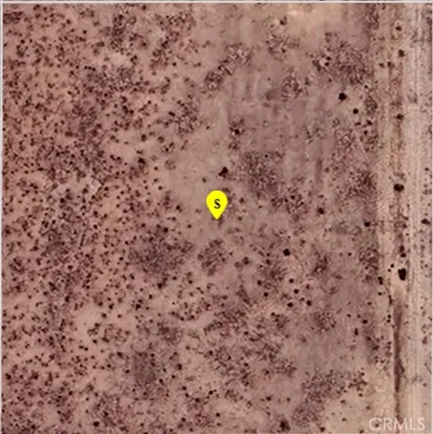 a view of a backyard with plants and bench