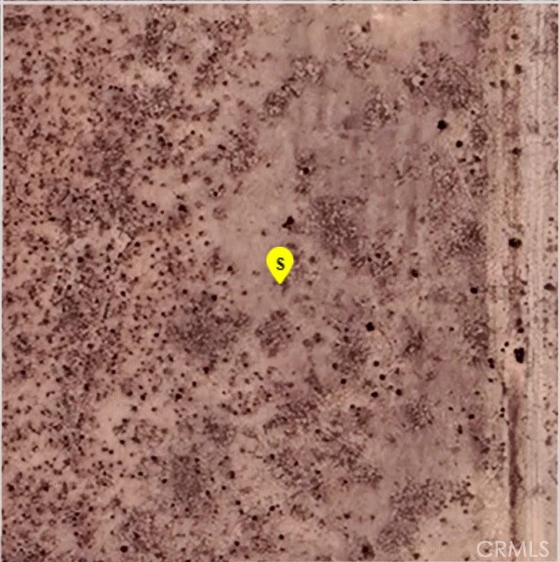 a view of a backyard with plants and bench