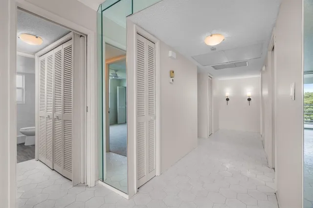 a view of a yard with plants and a fountain