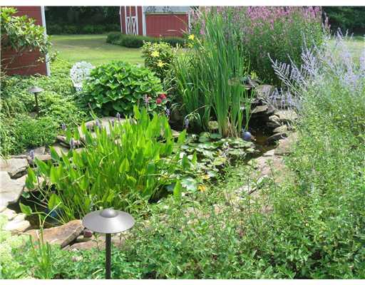 170 Kelley Road Industry, PA 15052 - Photo 14 of 18 Yard/Garden.