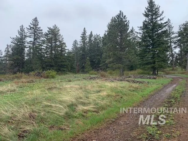 $119,900 | Nka 17.51-acs Nka 17.51-acs High Range Road, Cottonwood, ID 83522
