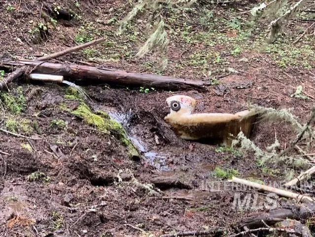 $119,900 | Nka 17.51-acs Nka 17.51-acs High Range Road, Cottonwood, ID 83522