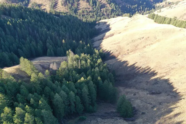 $119,900 | Nka 17.51-acs Nka 17.51-acs High Range Road, Cottonwood, ID 83522