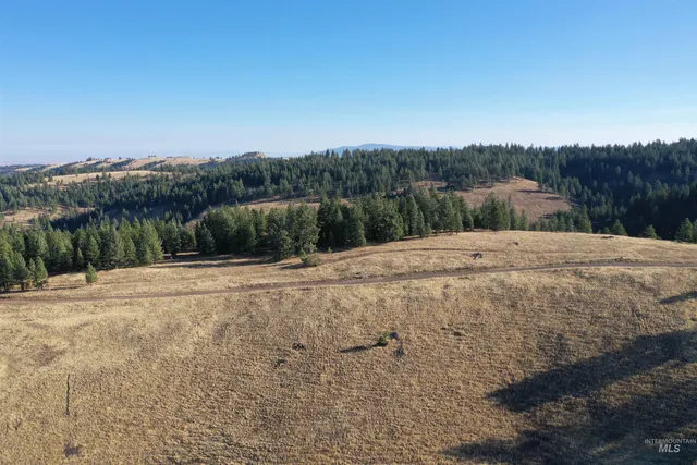 $119,900 | Nka 17.51-acs Nka 17.51-acs High Range Road, Cottonwood, ID 83522