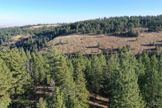 $119,900 | Nka 17.51-acs Nka 17.51-acs High Range Road, Cottonwood, ID 83522