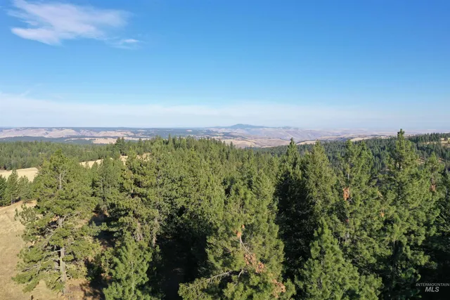 $119,900 | Nka 17.51-acs Nka 17.51-acs High Range Road, Cottonwood, ID 83522