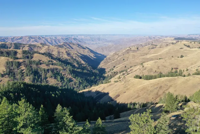 $119,900 | Nka 17.51-acs Nka 17.51-acs High Range Road, Cottonwood, ID 83522