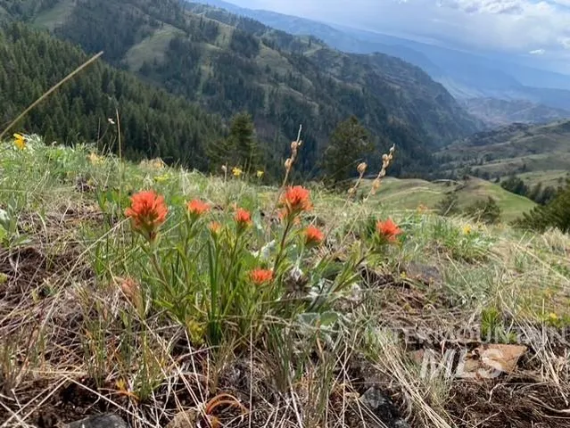 $119,900 | Nka 17.51-acs Nka 17.51-acs High Range Road, Cottonwood, ID 83522