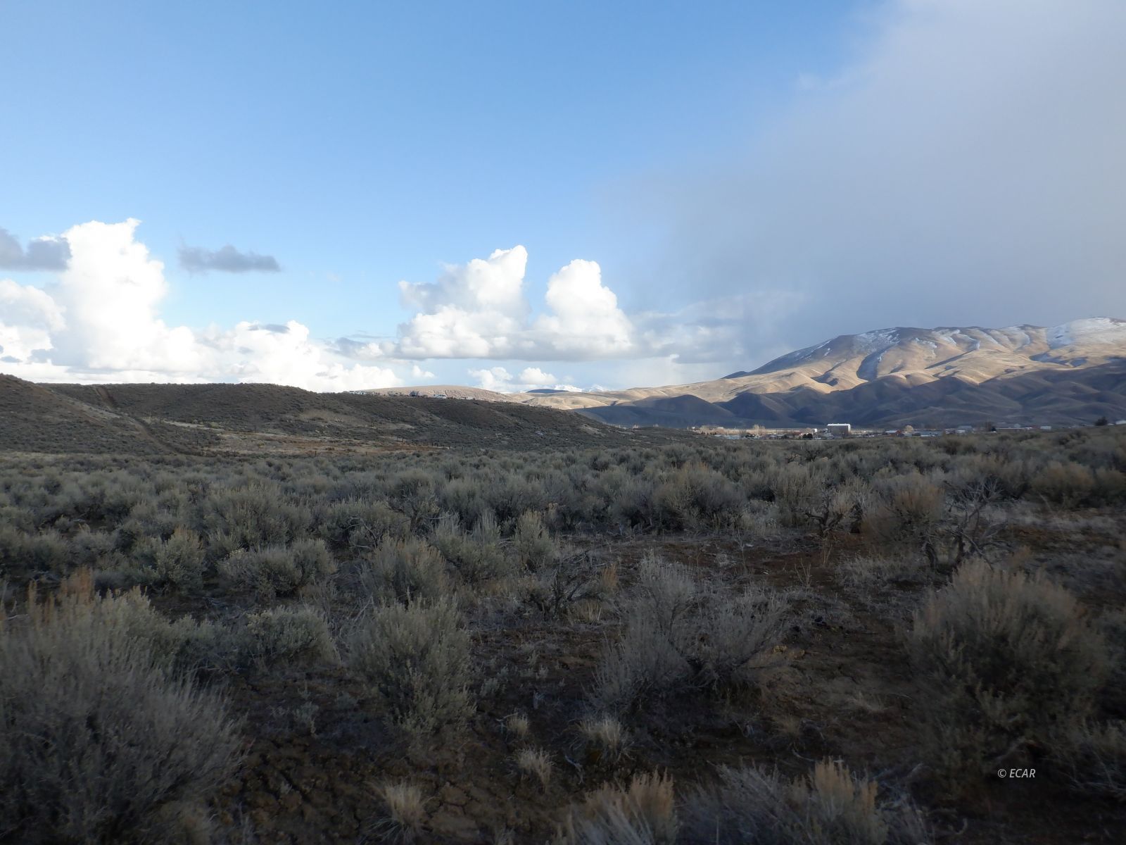 39-3 6th Street, Unit 35/3 Elko, NV 89801 - Photo 2 of 8