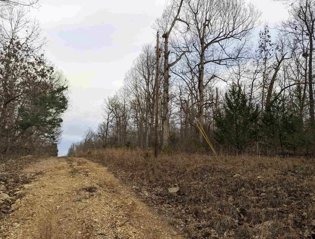 $1,950 | 4 Stone Creek Drive, Other, AR 72542