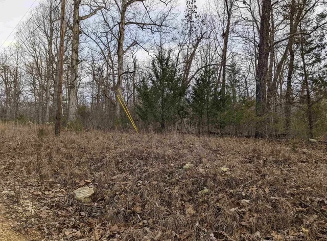 $1,950 | 4 Stone Creek Drive, Other, AR 72542