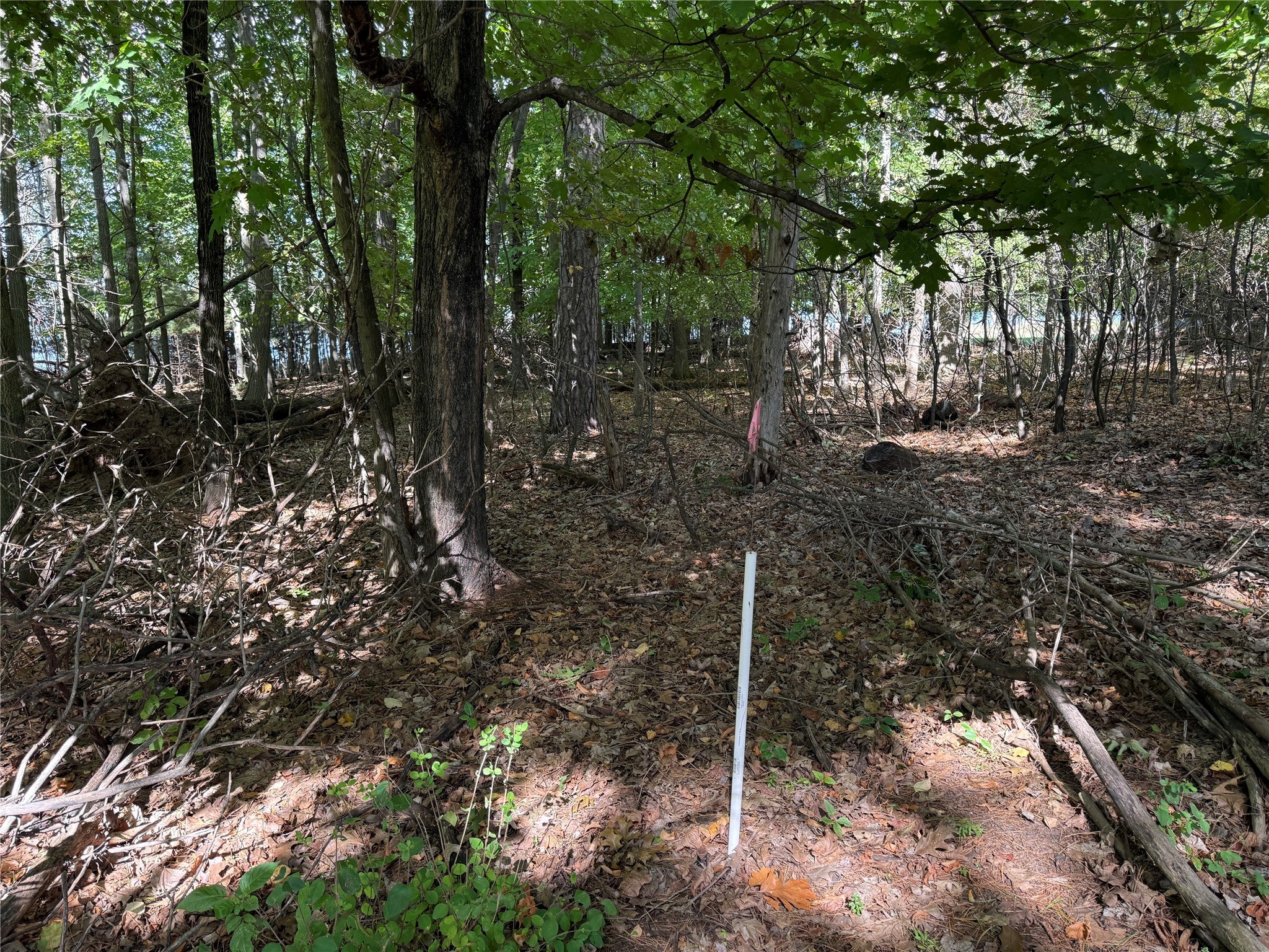 Xxx Rolph's Point Drive Shell Lake, WI 54871 - Photo 23 of 31 Gallery Image 23