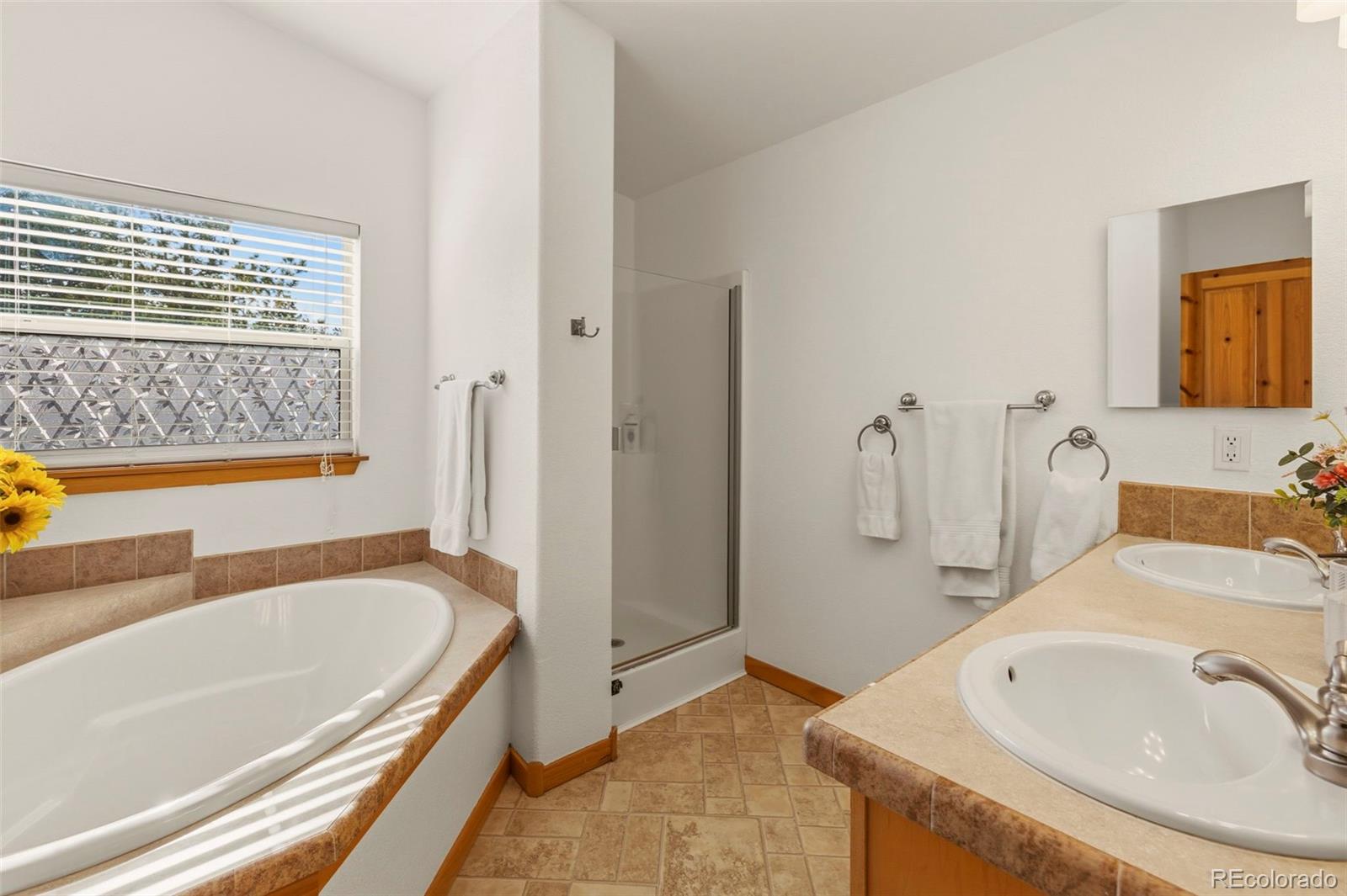 738 Rangeview Road Divide, CO 80814 - Photo 16 of 47 a bathroom with a tub sink and mirror