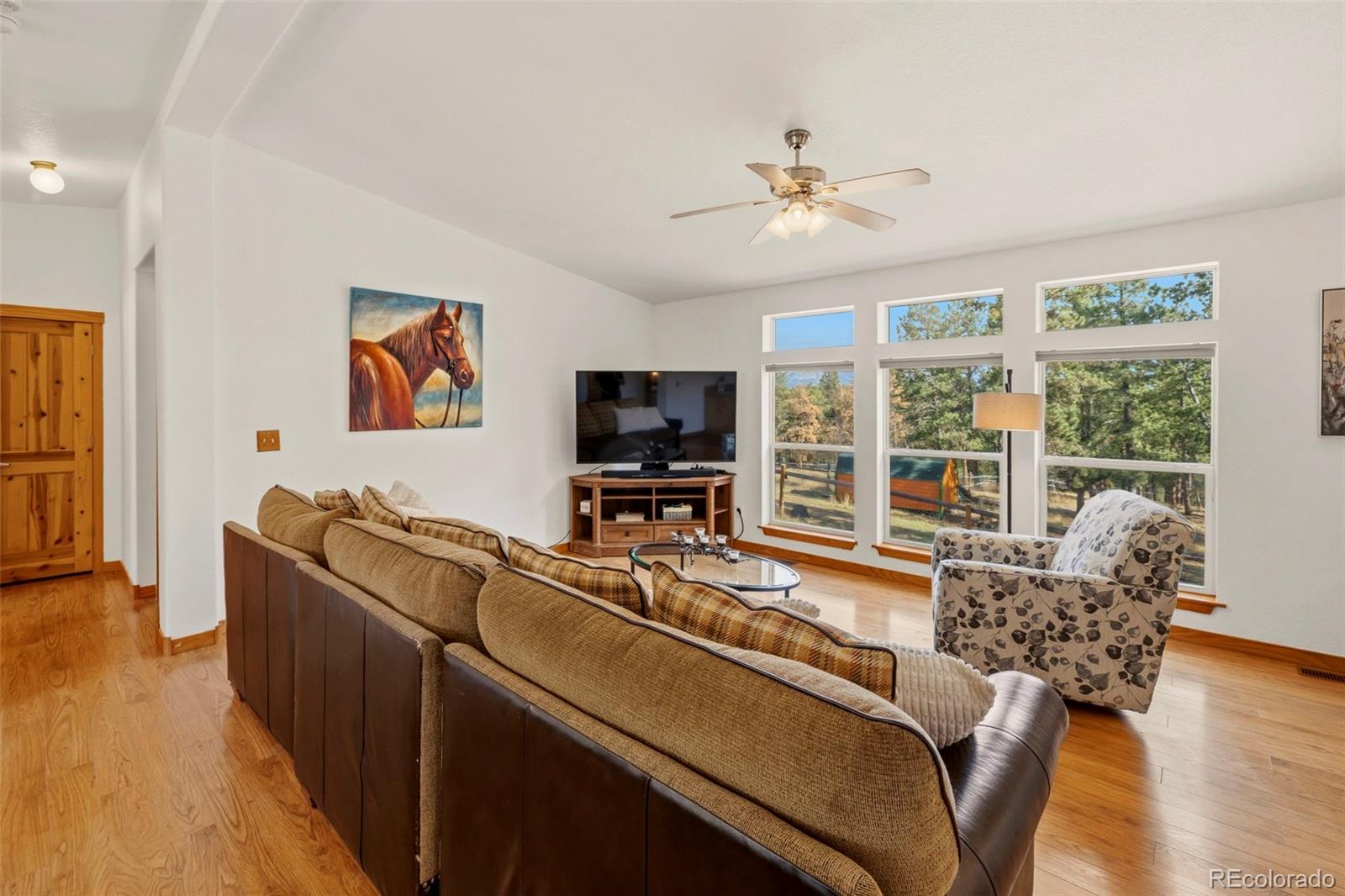738 Rangeview Road Divide, CO 80814 - Photo 3 of 47 a living room with furniture and a flat screen tv