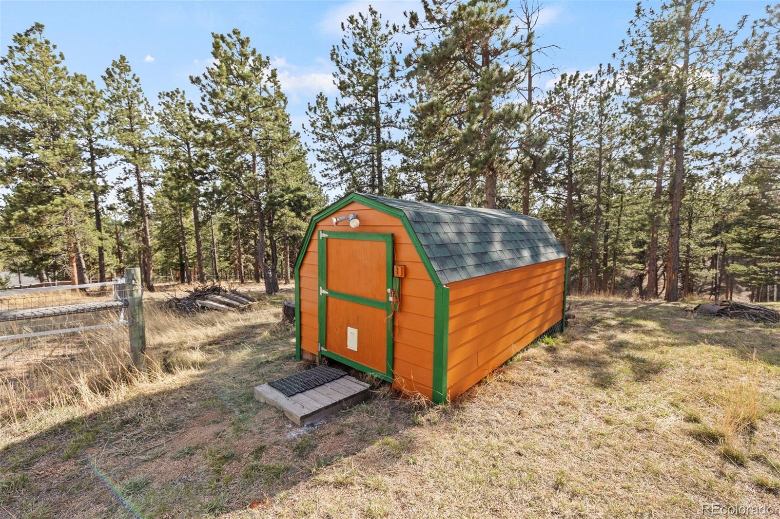 738 Rangeview Road Divide, CO 80814 - Photo 36 of 47 a view of a backyard with a large tree