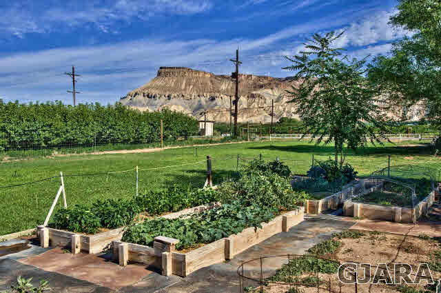3637 F Road Palisade, CO 81526 - Photo 30 of 36 Gallery Image 30