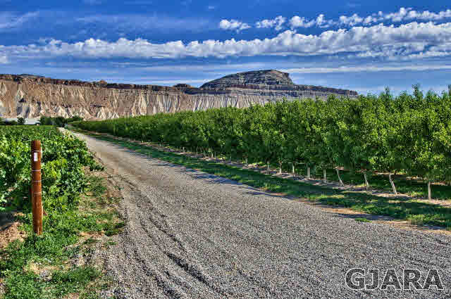 3637 F Road Palisade, CO 81526 - Photo 36 of 36 Gallery Image 36