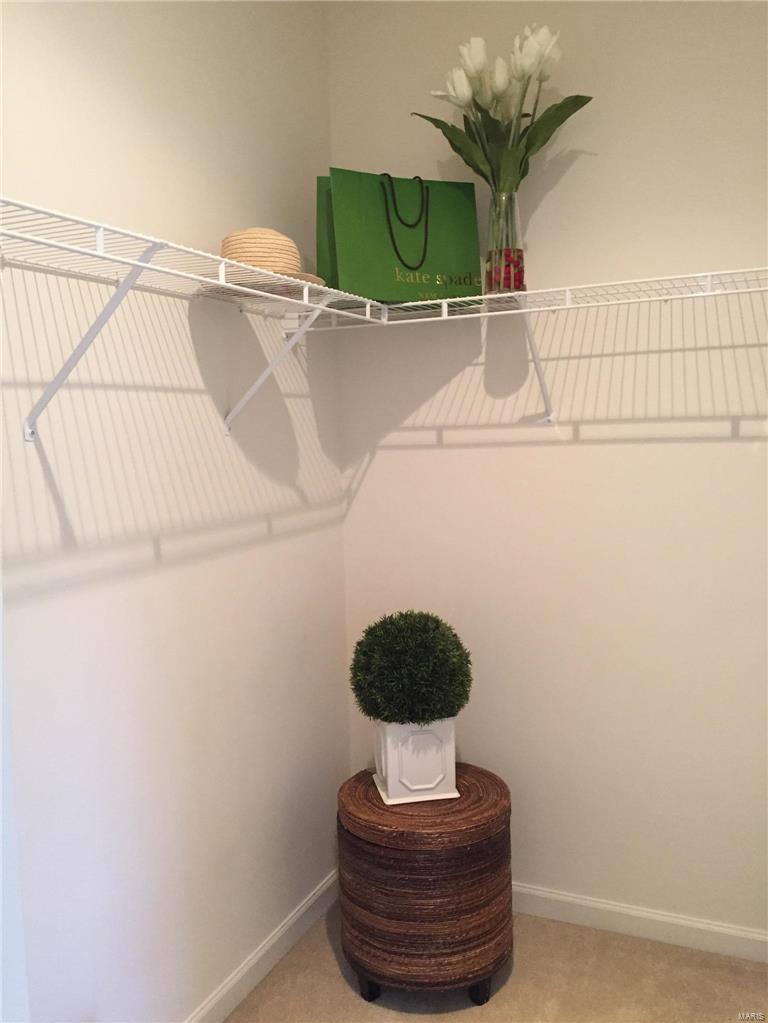 1270 Harmony Lake Drive Cottleville, MO 63376 - Photo 17 of 21