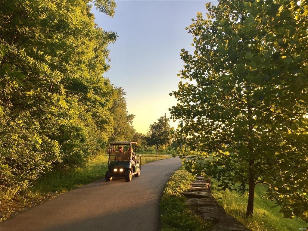 1270 Harmony Lake Drive Cottleville, MO 63376 - Photo 19 of 21