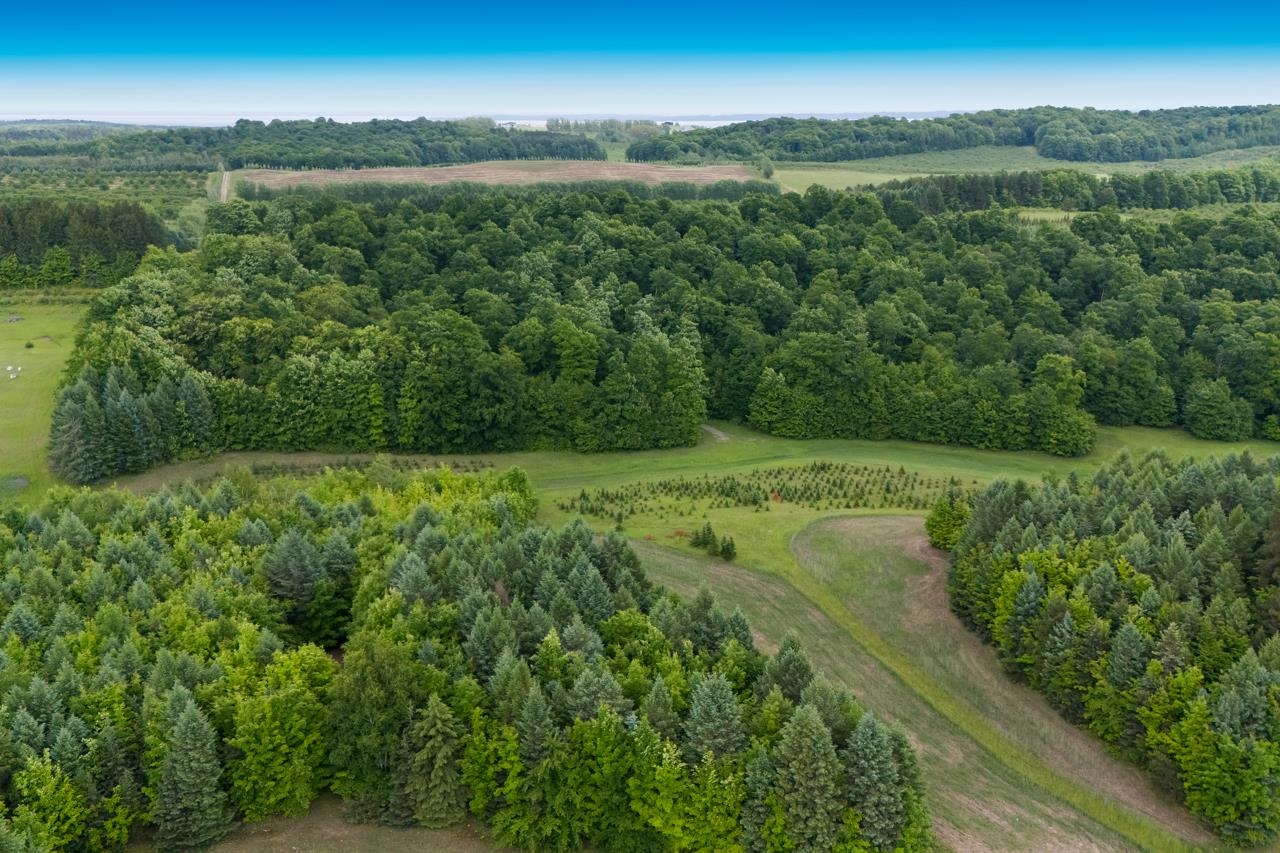 1551 North Macksey Road Suttons Bay, MI 49682 - Photo 28 of 34